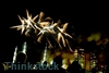 Environment and sustainability officers begin firework safety campaign