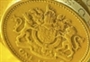 Environment and sustainability projects 'need more investment'