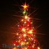 Environment and sustainability advice given on having a green Christmas