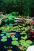 Environment and sustainability group to fund pond restoration 