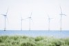 Government 'needs to create more environment and sustainability jobs'