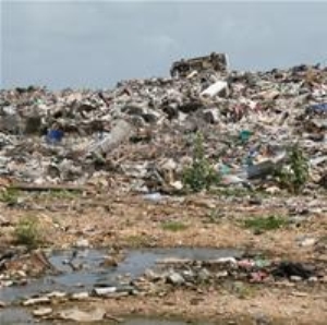 Environmental health officers 'in surveillance operation swoop'