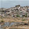 Environmental health officers 'in surveillance operation swoop'