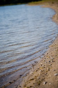 Environmental health officials warn residents about algae