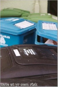 Environment and sustainability news: Councils 'will re-introduce weekly bin days'