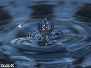 EU injects funding into environment and sustainability research