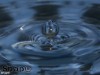 EU injects funding into environment and sustainability research