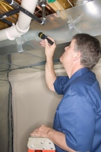 West Dorset environmental health staff investigate damp property