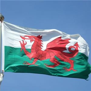Environmental health staff help religious groups in Wales