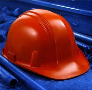 Town planning officers to review housing development bid