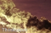 Environmental health officers investigate arson attack