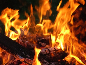Environmental health officers investigate fire incident