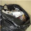 Environmental health officer appointed to reduce waste problems